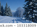 Trampled Path Through a Snow-Covered Lawn Leading to the Enchanting Forest. Generative AI. 103318009