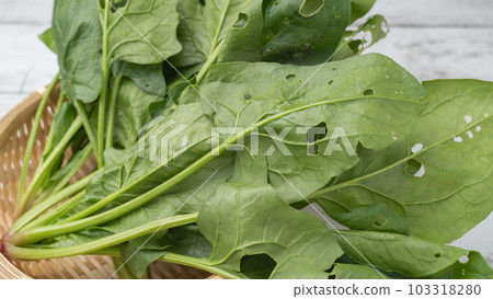 Moth-eaten spinach full of holes 103318280