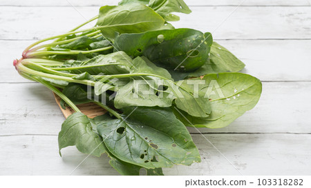 蟲蛀空心菜 103318282