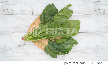 蟲蛀空心菜 蟲蛀空心菜 103318283