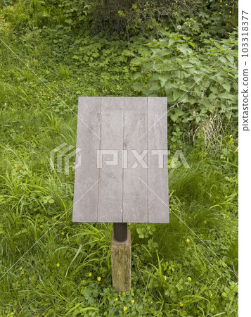 empty wooden sign board in garden with copy space 103318377
