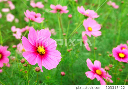 有一天我看到了一個宇宙場 有一天我看到了一個宇宙場 103318422