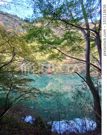 Hatonosu山谷 103318656