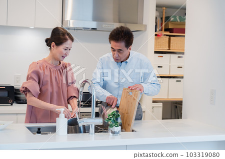 一起做家務的年長夫婦 一起做家務的年長夫婦 103319080