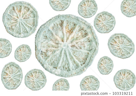 isolated moldy unspoiled section of citrus fruits on white. 103319211