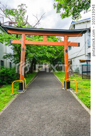 京都市山科區花山稻荷神社的紅色鳥居門 103319348