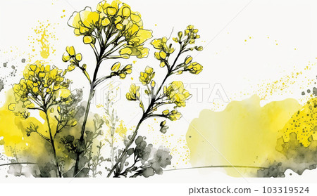 油菜水彩 103319524