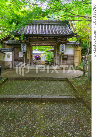 Sorin-in Temple (Yamashina Shoten) in Yamashina Ward, Kyoto 103319760