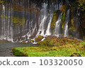 瀑布和彩虹 103320050