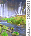 瀑布和河流 103320051