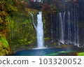 瀑布和苔蘚 103320052