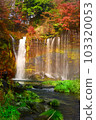 瀑布和彩虹 103320053