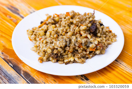 Russian soldiers porridge, mushroom pellet 103320059