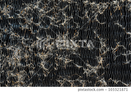 Macro of seed pods and dust collecting on the heat exchanger coils of an air conditioner outside.  103321871