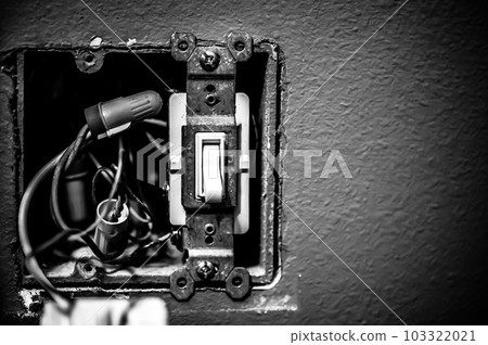 2 gang box with a light switch and loos wires. 103322021
