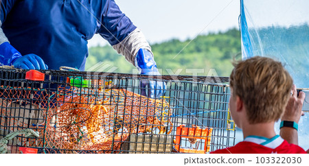 Lobster pot being pulled on an educational tour boat in the Pacific Ocean. Lobster pot being pulled on an educational tour boat in the Pacific Ocean. 103322030