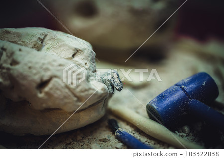 plaster of paris dinosaur eggs with excavation tools for youth fun. plaster of paris dinosaur eggs with excavation tools for youth fun. 103322038