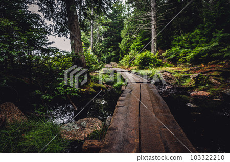 Elevated boardwalk path along western edge of Jordan Pond in Acadia National Park, Maine, USA 103322210