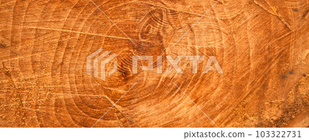 Chainsaw cut oak wood texture, sawn wood texture 103322731