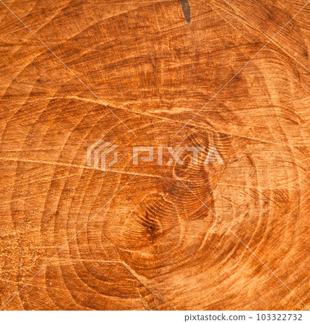Chainsaw cut oak wood texture, sawn wood texture 103322732