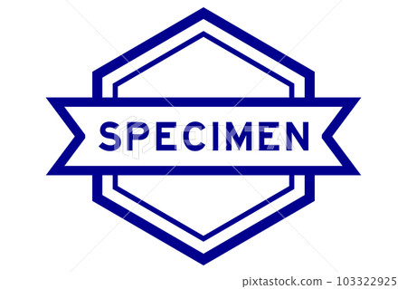 Vintage blue color hexagon label banner with word specimen on white background Vintage blue color hexagon label banner with word specimen on white background 103322925