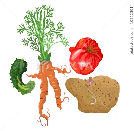 Ugly vegetables. Imperfect cucumber, carrot, tomato, potato. Vector isolated illustration. Ugly food. Realness concept. 103323014