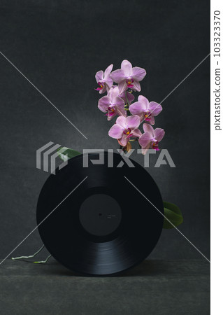 Still life with an orchid and a vinyl record 103323370