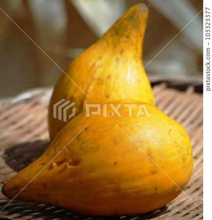 Canister Canister 103323377