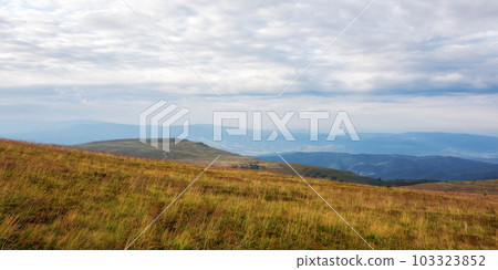 carpathian countryside with grassy meadows. view in to the distant rural valley carpathian countryside with grassy meadows. view in to the distant rural valley 103323852