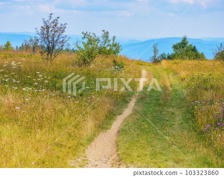 country road on the top of a hill. mountainous countryside landscape on a sunny day in summertime. hiking through rural area country road on the top of a hill. mountainous countryside landscape on a sunny day in summertime. hiking through rural area 103323860