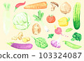 watercolor fresh green vegetables illustration. Isolated veggies of cucumber, mushroom, garlic, onion, broccoli, radish, cabbage, chilli, carrot, tomato, potato, daikon, eggplant, pepper, radish, pea 103324087