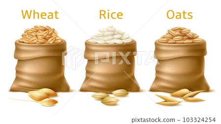 Realistic cereals in sacks. Various isolated grain crops in bags, agriculture plants wheat, rice and oats, 3d farm element, natural food product packaging. Cooking ingredient utter vector set 103324254