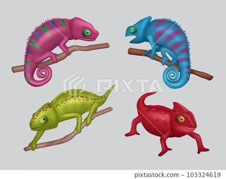 Chameleon. Realistic colored masked animals on branch decent vector wildlife animal 103324619