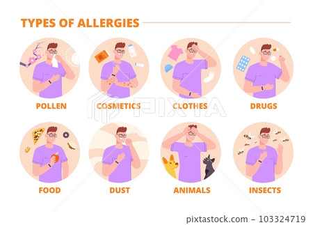 Types of allergies. Allergy type infographic, seasonal allergic disease immunity reaction on allergen pollen citrus causing rashes cough nose rhinitis, splendid vector illustration Types of allergies. Allergy type infographic, seasonal allergic disease immunity reaction on allergen pollen citrus causing rashes cough nose rhinitis, splendid vector illustration 103324719