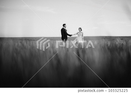 the groom and the bride walk along the wheat green field the groom and the bride walk along the wheat green field 103325225