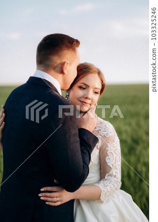 the groom and the bride walk along the wheat green field the groom and the bride walk along the wheat green field 103325246