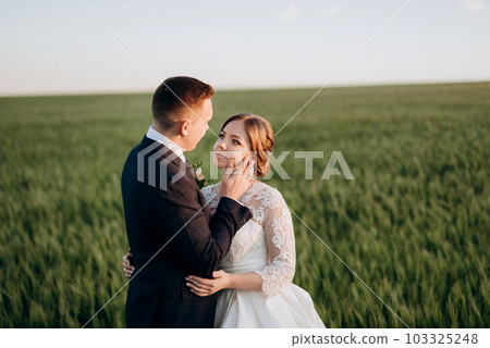 the groom and the bride walk along the wheat green field 103325248