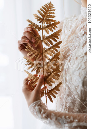 portrait of a bride in the morning before the wedding 103325620