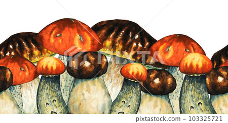 Watercolour seamless border with wild forest edible red and brown mushrooms, hand drawn illustration on white background 103325721