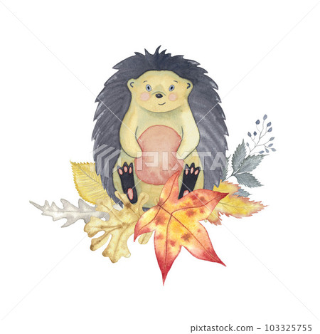 Autumn watercolour card with hedgehog and leaves of oak tree, maple, elm, fantasy herbs hand drawn isolated on white 103325755