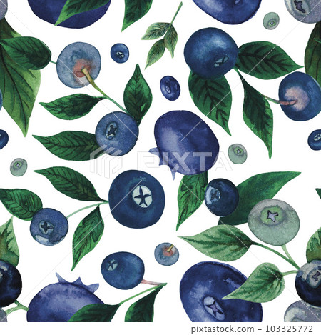 Seamless watercolour blueberry pattern with berries, leaves hand drawn isolated on white 103325772