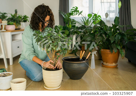 Woman grows potted plants at home watering and take care flowers - gardening and houseplant care concept Woman grows potted plants at home watering and take care flowers - gardening and houseplant care concept 103325907