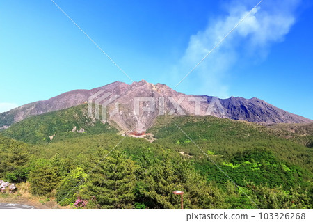 [Kagoshima Prefecture] Summit of Sakurajima (crater) seen from Yunohira Observatory on a clear day 103326268