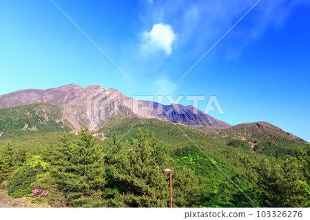 [Kagoshima Prefecture] Summit of Sakurajima (crater) seen from Yunohira Observatory on a clear day 103326276