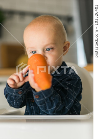 Happy baby sitting in high chair eating carrot in kitchen . Healthy nutrition for kids. Bio carrot as first solid food for infant. Children eat vegetables. Little boy biting raw vegetable. Happy baby sitting in high chair eating carrot in kitchen . Healthy nutrition for kids. Bio carrot as first solid food for infant. Children eat vegetables. Little boy biting raw vegetable. 103326403