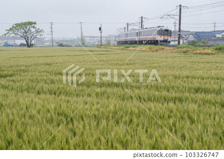 [Kansai Main Line] A limited express train heading for Mie in the rain 103326747
