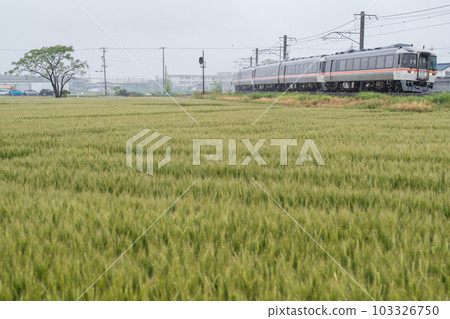 [Kansai Main Line] A limited express train heading for Mie in the rain 103326750