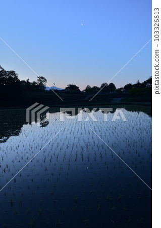 北斗市白州町有明月光下的稻田 北斗市白州町有明月光下的稻田 103326813