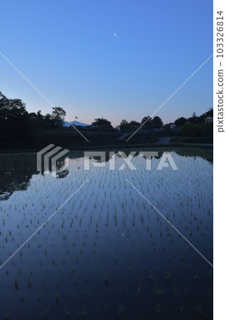 北斗市白州町有明月光下的稻田 北斗市白州町有明月光下的稻田 103326814