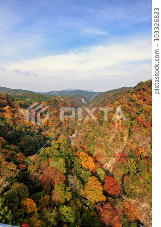 [固定價格]紅葉九重夢吊橋（九水溪方向） 103326823